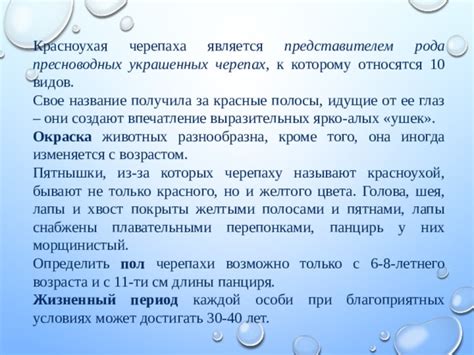 Адаптация панциря к образу жизни красноухих черепах