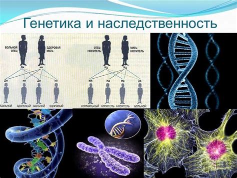 Быстрый рост щетины: причины, факторы и механизмы