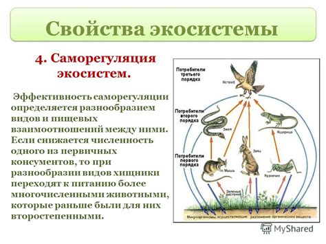 Важная роль в экосистеме