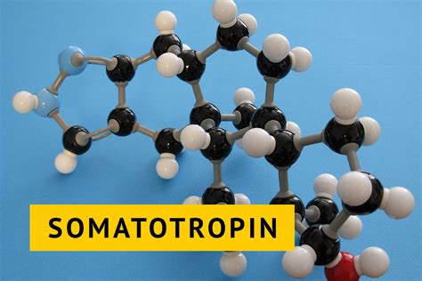 Влияние гормона роста на заболевания суставов