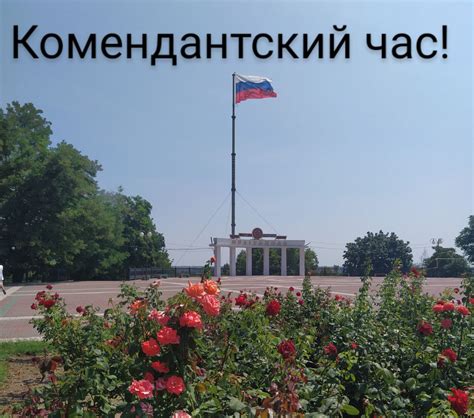 Влияние комендантского часа на жизнь города