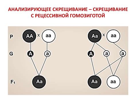 Влияние наследственности и генетики