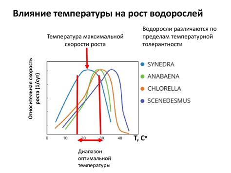 Влияние температуры на взбивание