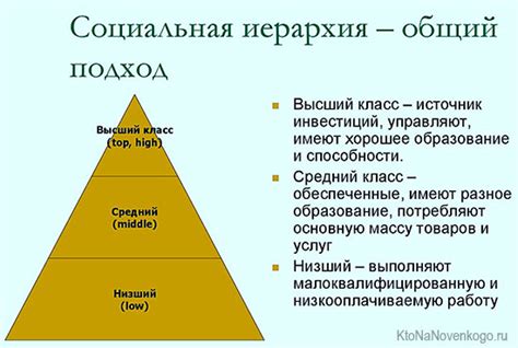 Иерархия и территориальность