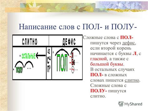 Логика сочетания слов "пол" и "автобус"