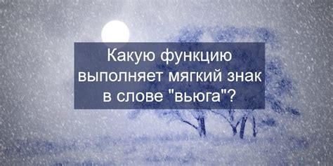 Необходимость мягкого знака в написании "вьюга"