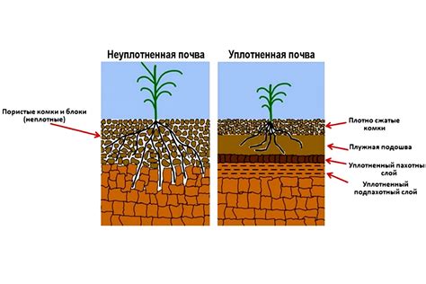 Неподходяшая почва