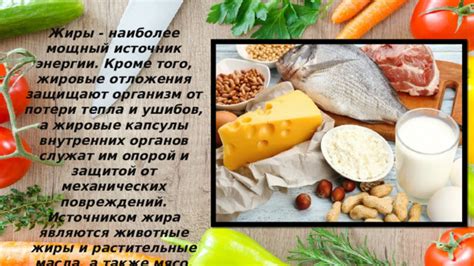 Отложения и осколки пищи