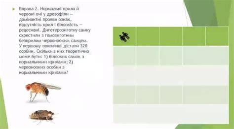 Отсутствие крыльев