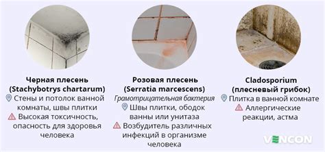 Плесень и грибок: основные причины отклеивания герметика