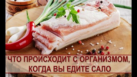 Польза сало утром