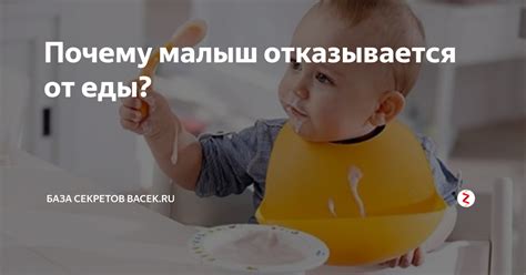 Почему малыш отказывается от еды в 10 месяцев?