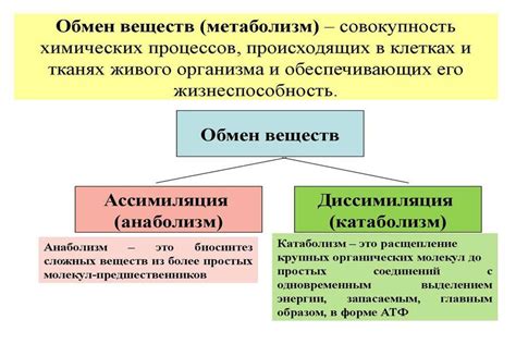 Причина №1: Распад полезных веществ