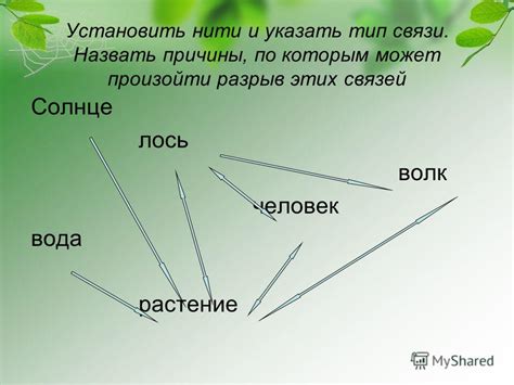 Причины, по которым волк может дунуть: