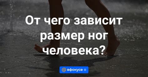 Размер ног у мужчин зависит от нескольких факторов: