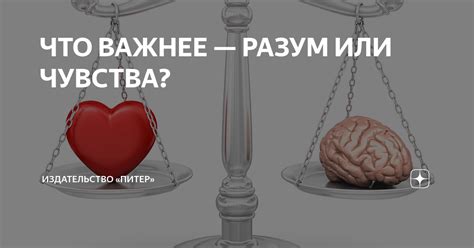 Разум или чувства: как совершить правильный выбор?