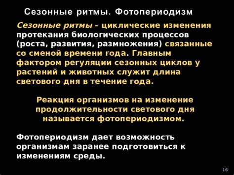 Роль биологических часов в регуляции активности животных