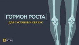 Роль гормона роста в формировании суставов