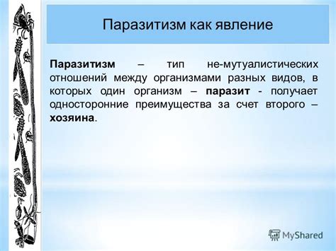 Самодурство как явление: причины и происхождение