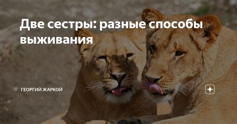 Способы выживания страусов