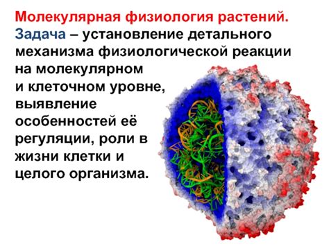 Феномен физиологической реакции