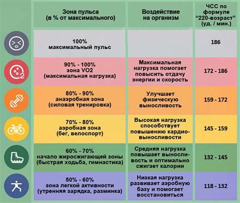 Физическая нагрузка и пульс