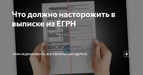 Что делать, если в выписке ЕГРН нет информации о собственнике: возможные причины и шаги для решения проблемы