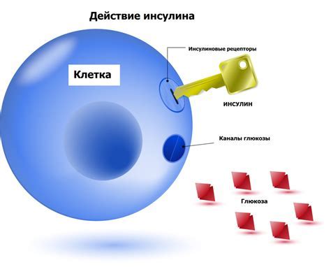 Что такое глюкоза и как она участвует в организме?